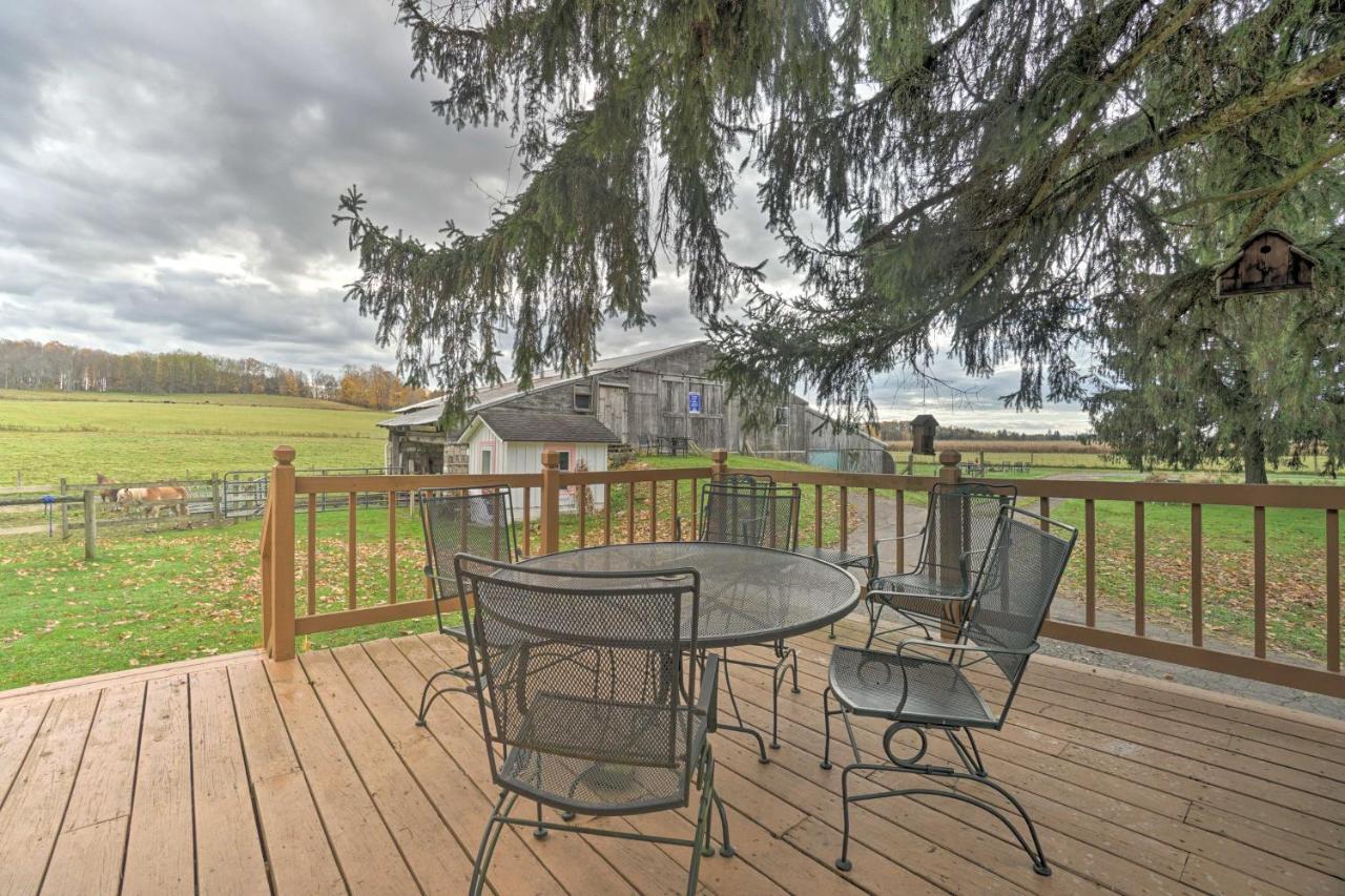 Vintage About 2 Half Mi To Mount Pleasant Holiday home Cambridge Springs