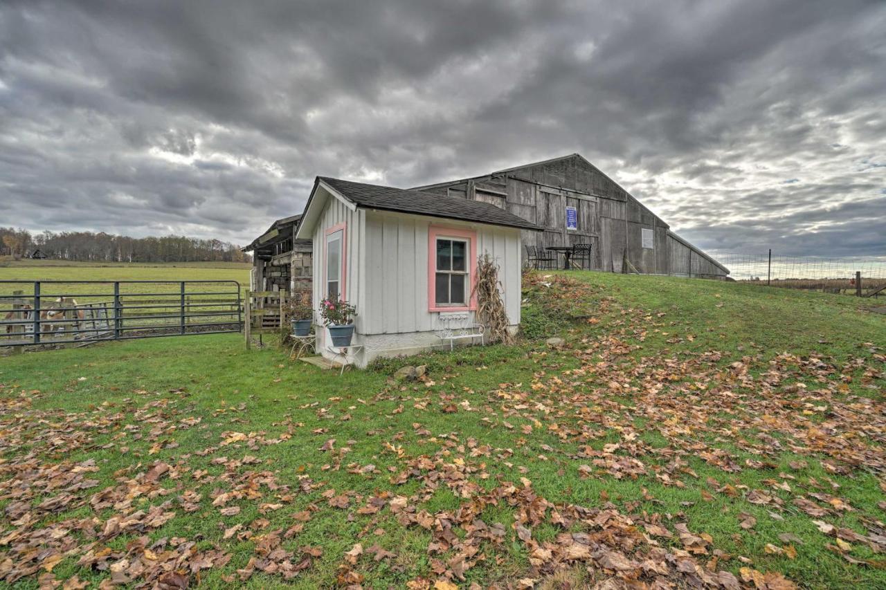 Vintage About 2 Half Mi To Mount Pleasant Holiday home Cambridge Springs
